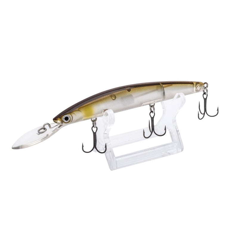 Daiwa Lure Display Stand